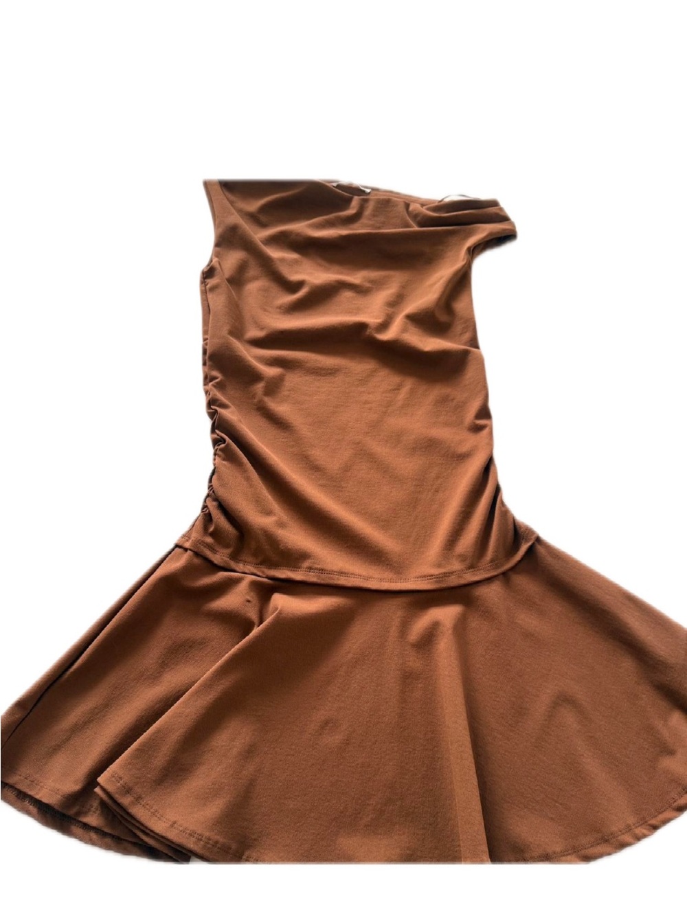 Zara Brown Sleeveless Flared Dress
